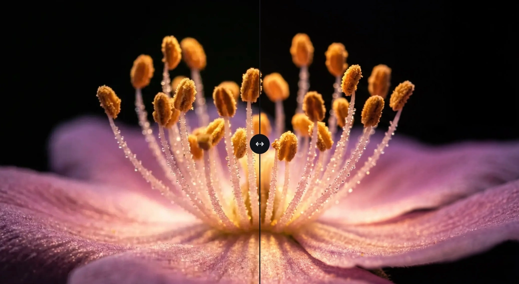 Comparação de detalhes de pétalas e estames em uma fotografia macro